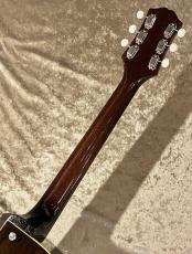 KING SNAKE Curtis H Deep Body Tobaco Sunburst CHD-020 [2.67kg]【G-CLUB TOKYO】_8