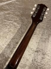 KING SNAKE 【NEW】Curtis H Dirty Sunburst [CH-005] [2.39kg]【G-CLUB TOKYO】_9