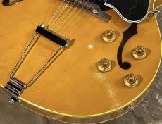 KING SNAKE 【NEW】Curtis Amber Natural sn C-110 [2.39kg]【G-CLUB TOKYO】_7