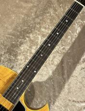 KING SNAKE 【NEW】Curtis Amber Natural sn C-110 [2.39kg]【G-CLUB TOKYO】_9