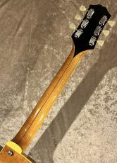 KING SNAKE 【NEW】Two Bone T Amber Natural TBT-028 [2.86kg]【G-CLUB TOKYO】_8