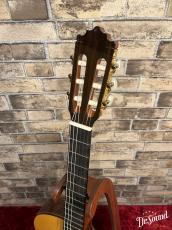 Paco Castillo パコ・カスティージョ 234TE Narrow Neck 松・ローズウッド_7