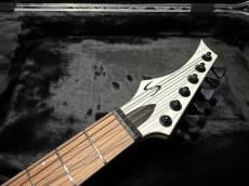 Skervesen Skervesen Velociraptor 6-Strings / Trans White Top_5