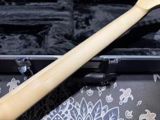 Skervesen Skervesen Velociraptor 6-Strings / Trans White Top_8