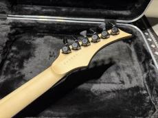 Skervesen Skervesen Velociraptor 6-Strings / Trans White Top_9