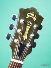 Guild D-40_3