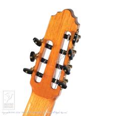 VICENTE CARRILLO Yamandu Costa Modelo Estudio【48回無金利対象品】_8