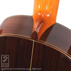 VICENTE CARRILLO Yamandu Costa Modelo Estudio【48回無金利対象品】_12