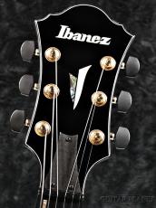 Ibanez ARTSTAR AFC151 -DA (Dark Amber) 【2.6kg】_5