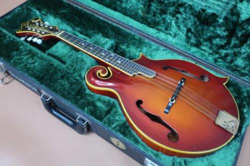 Kasuga M-150 / Flagship Model・Flowerpot  Head Inlay・ Solid Spruce Top・Solid Flame Curly Maple Side and Back・Flame Curly Maple Neck・Ebony Fingerboard・Neck Width 28mm / 355mm Scale・Varnish Finish【With Original