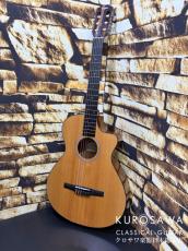 Taylor テイラー 2024年製 Model:212ce-N Plus (S/N:2209274250)  【日本総本店2F 在庫品】