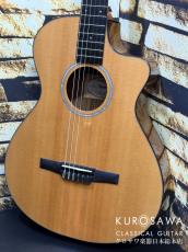 Taylor テイラー 2024年製 Model:212ce-N Plus (S/N:2209274250)  【日本総本店2F 在庫品】_2
