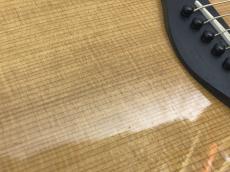 Taylor 214ce-CF DLX 【返品OK】[SMN48]【梅田店在庫】_9