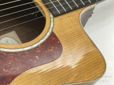 Taylor 214ce-CF DLX 【返品OK】[SMN48]【梅田店在庫】_10