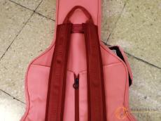 RITTER RGB4-SA FRO セミアコ用ギグケース [SM852]【神戸店在庫】_3
