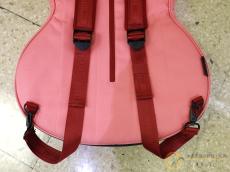 RITTER RGB4-SA FRO セミアコ用ギグケース [SM852]【神戸店在庫】_4