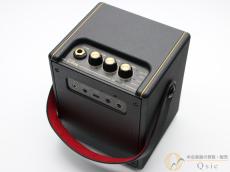 Positive Grid Spark MINI [SMW71]【阿倍野店在庫】_2