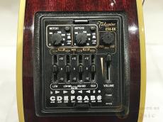 Takamine DMP551C WR 【返品OK】[QMS83]【箕面店在庫】_9