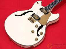 SCHECTER WAYNE HUSSEY CORSAIR-12 IVY 【返品OK】[SMW37]【阿倍野店在庫】