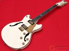 SCHECTER WAYNE HUSSEY CORSAIR-12 IVY 【返品OK】[SMW37]【阿倍野店在庫】_2
