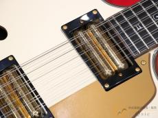 SCHECTER WAYNE HUSSEY CORSAIR-12 IVY 【返品OK】[SMW37]【阿倍野店在庫】_10