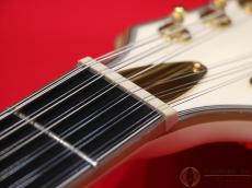 SCHECTER WAYNE HUSSEY CORSAIR-12 IVY 【返品OK】[SMW37]【阿倍野店在庫】_11