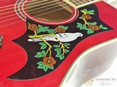 Epiphone LTD ED Dove 【返品OK】[RMR86]【箕面店在庫】_10