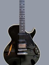 Epiphone  Howard Roberts FusionⅢ　_2