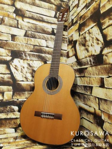 Orpheus Valley Guitars オルフェウス・ヴァレー・ギターズ F65C 杉・ローズウッド 【日本総本店2F在庫品】