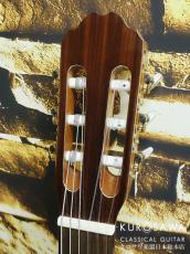 Orpheus Valley Guitars オルフェウス・ヴァレー・ギターズ F65C 杉・ローズウッド 【日本総本店2F在庫品】_3