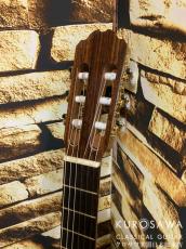 Orpheus Valley Guitars オルフェウス・ヴァレー・ギターズ F65S 松・ローズウッド 【日本総本店2F在庫品】_5