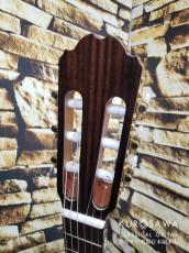 Orpheus Valley Guitars オルフェウス・ヴァレー・ギターズ F63S 松・ローズウッド 【日本総本店2F在庫品】_5