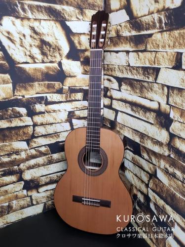 Orpheus Valley Guitars オルフェウス・ヴァレー・ギターズ F63C 杉・ローズウッド 【日本総本店2F在庫品】