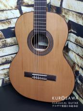 Orpheus Valley Guitars オルフェウス・ヴァレー・ギターズ F63C 杉・ローズウッド 【日本総本店2F在庫品】_2