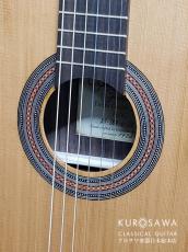 Orpheus Valley Guitars オルフェウス・ヴァレー・ギターズ F63C 杉・ローズウッド 【日本総本店2F在庫品】_3