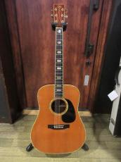 Martin 1981 D-45