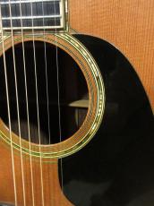 Martin 1981 D-45_4