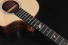 NATASHA JC series JC-2《アコギ》【オンラインストア限定】_4