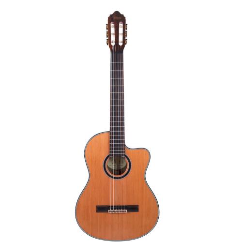 Valencia C5-CE SP《エレガット》【オンラインストア限定】