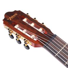 Valencia C5-CE SP《エレガット》【オンラインストア限定】_4