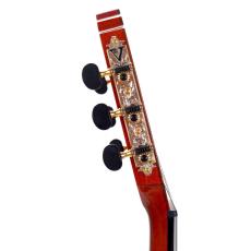 Valencia C5-CE SP《エレガット》【オンラインストア限定】_5