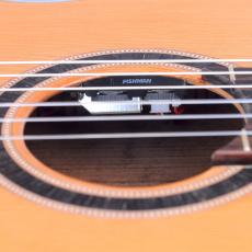 Valencia C5-CE SP《エレガット》【オンラインストア限定】_7