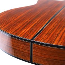 Valencia C5-CE SP《エレガット》【オンラインストア限定】_8