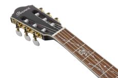 Ibanez Tim Henson (Polyphia) Signature TOD10NL-TKF【オンラインストア限定】_6