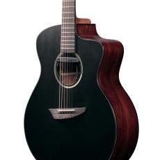 Ibanez JGM5 -BSN (Black Satin Top, Natural High Gloss Back and Sides)-【限定生産モデル】_6