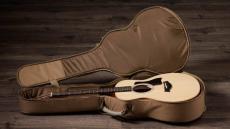 Taylor GS Mini Sapele 【オンラインストア限定】_3