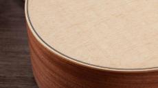 Taylor GS Mini Sapele 【オンラインストア限定】_4
