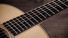 Taylor GS Mini Sapele 【オンラインストア限定】_5