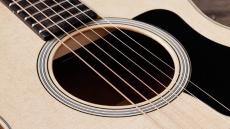 Taylor GS Mini Sapele 【オンラインストア限定】_6