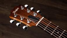 Taylor GS Mini Sapele 【オンラインストア限定】_7